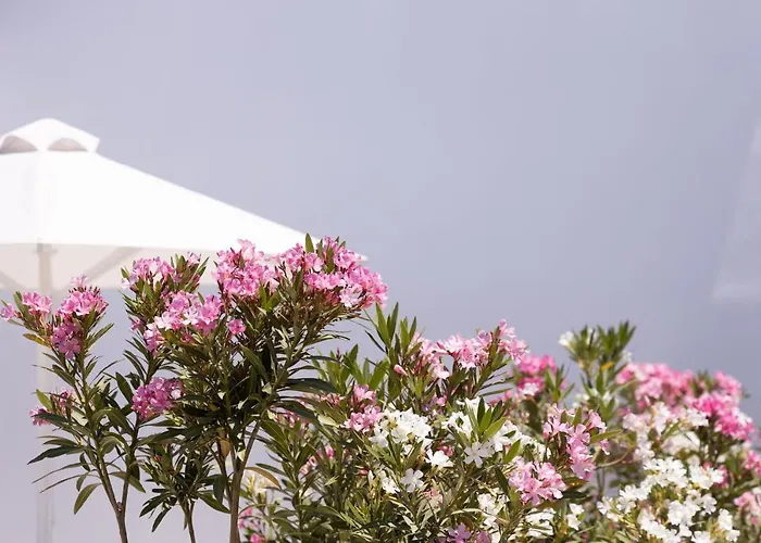 Archon Seaside Retreat מלון דירות 4*